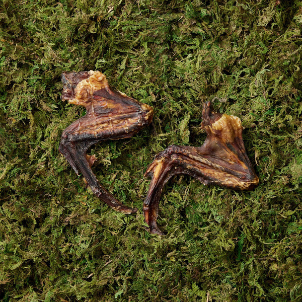 Duck Wings - 2 Pieces