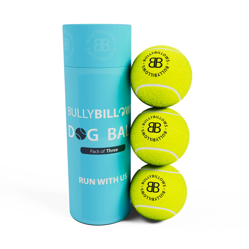Dog Tennis Balls