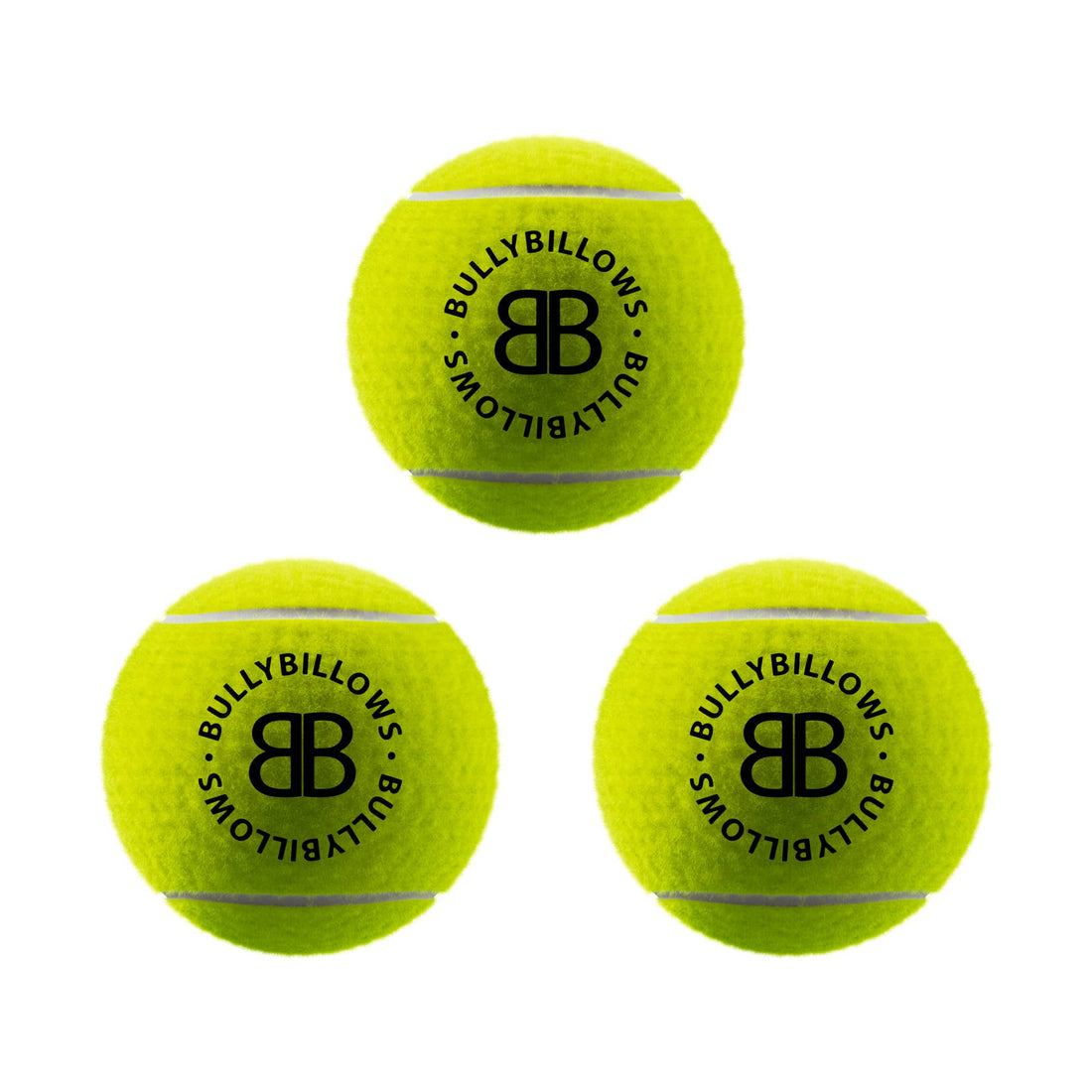 featured image of Dog Tennis Balls