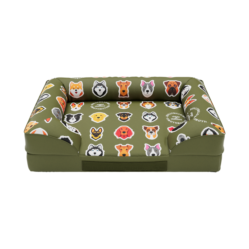 Luxury Dog Bed - Sage Edition | Add your dogs name
