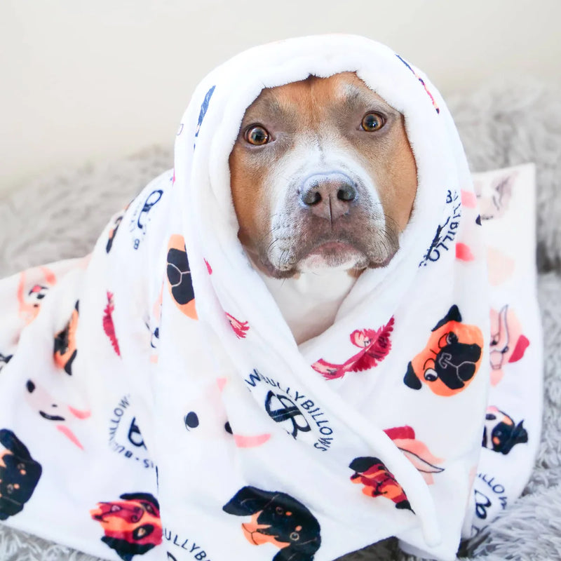 Pet Blanket Duo – Black & White Edition
