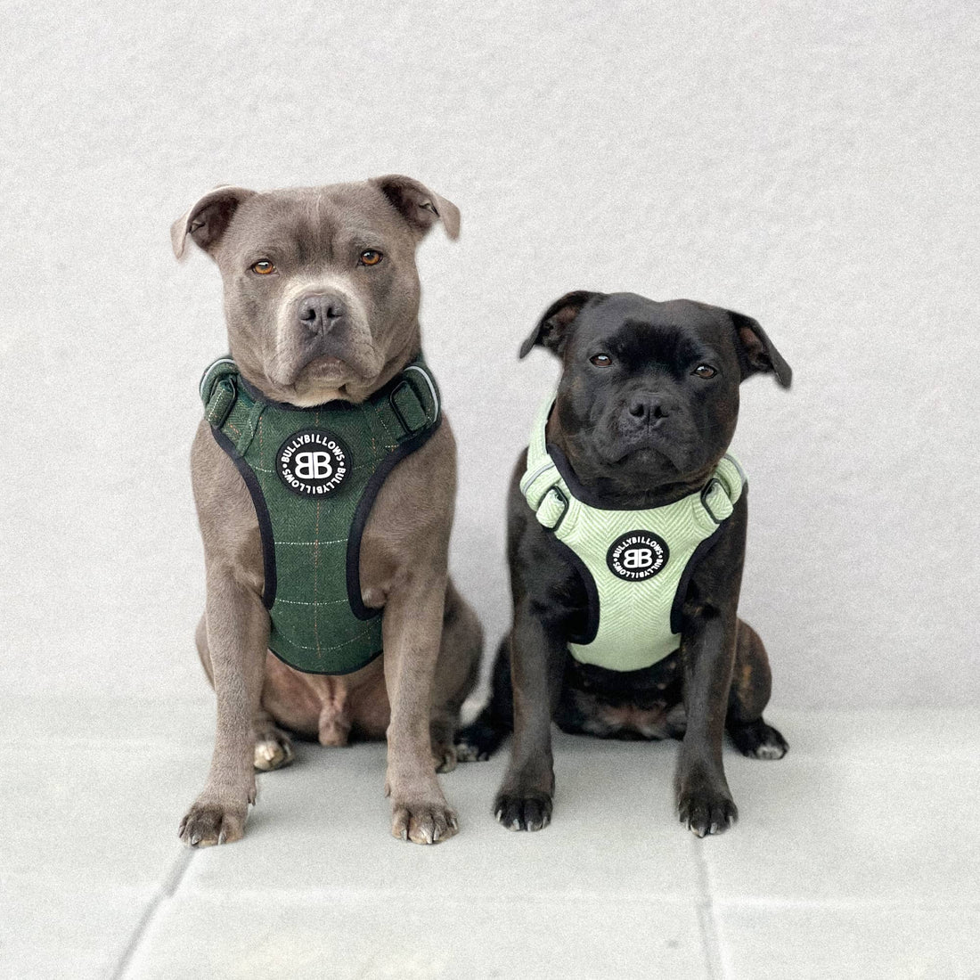 featured image of Premium Comfort Herringbone Harness | Non Restrictive - Soft Pink