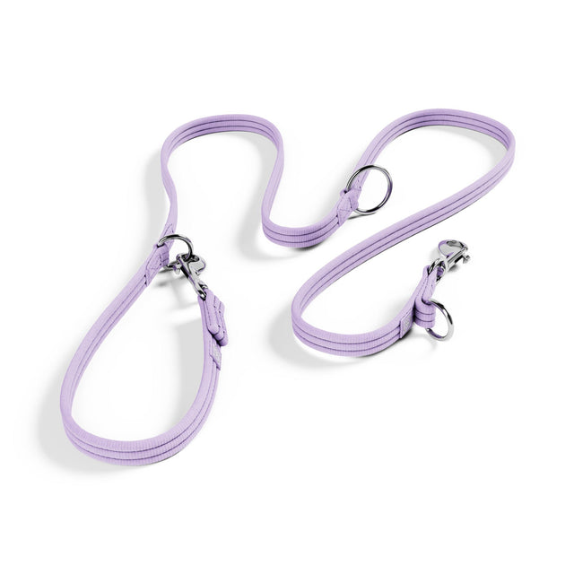 Training Double Ended Dog Lead | 2m Length - Lavender Ube