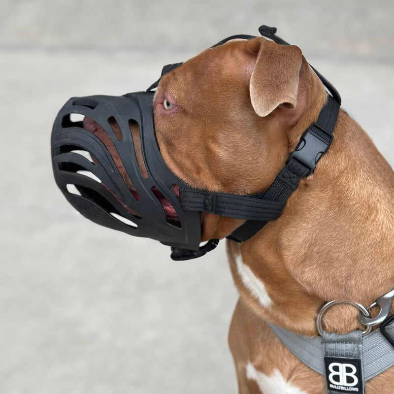 Muzzle | Flexi & Legal Requirement - S-XL Breeds - Black