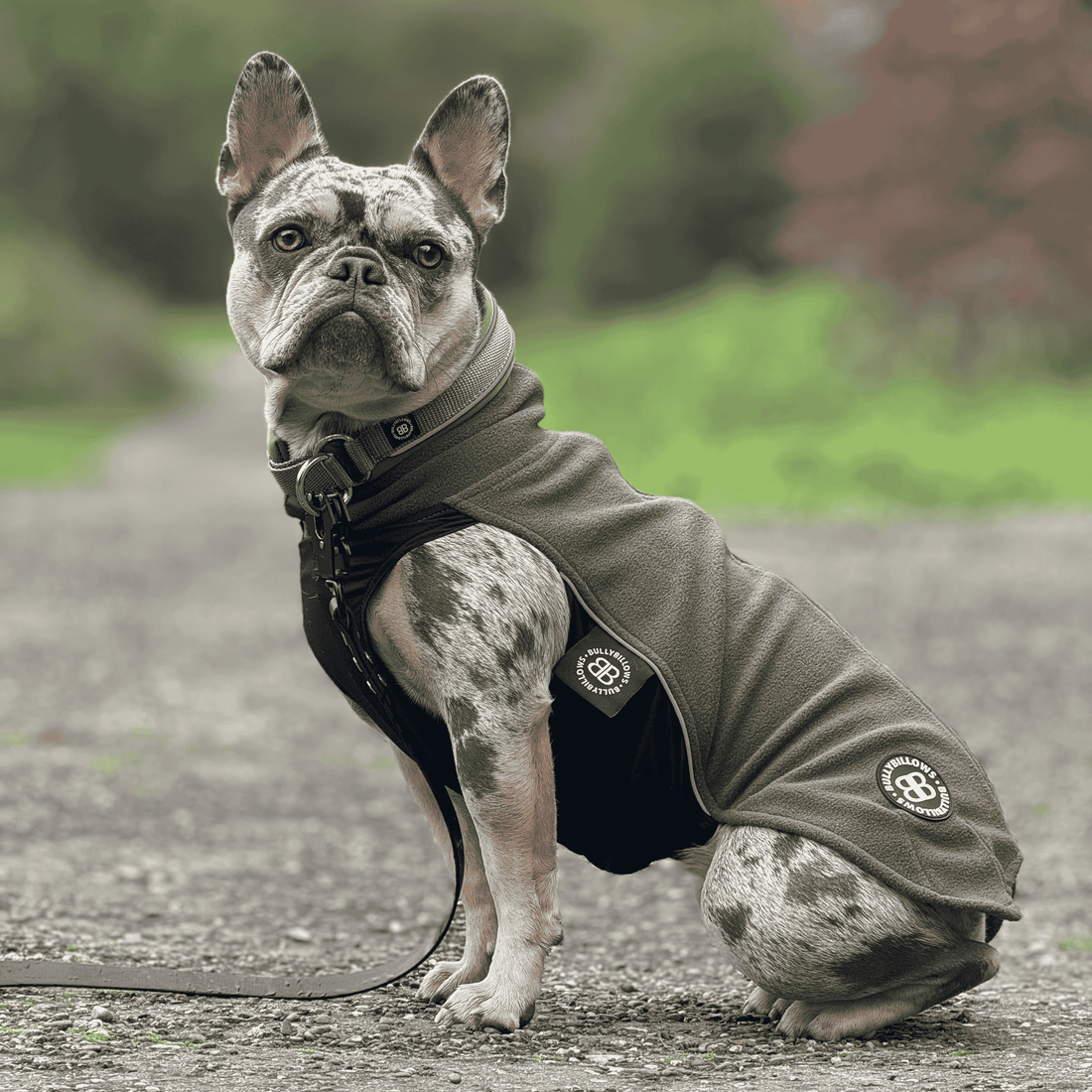 featured image of Dog Fleece With Zip - Khaki
