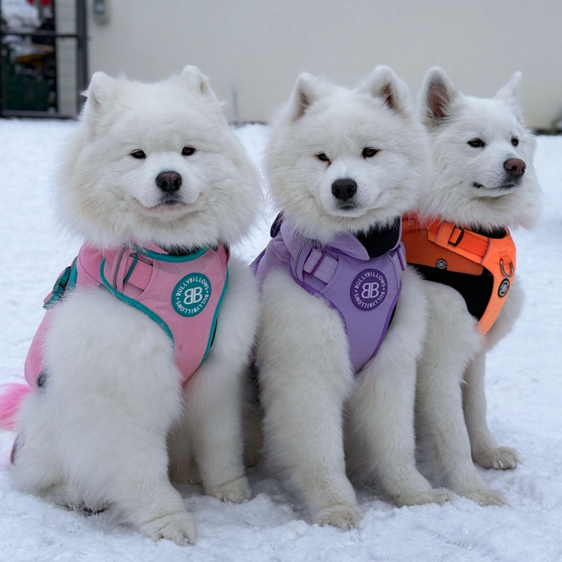 Dog Fleece With Zip - Orange