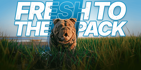 Fresh To The Pack