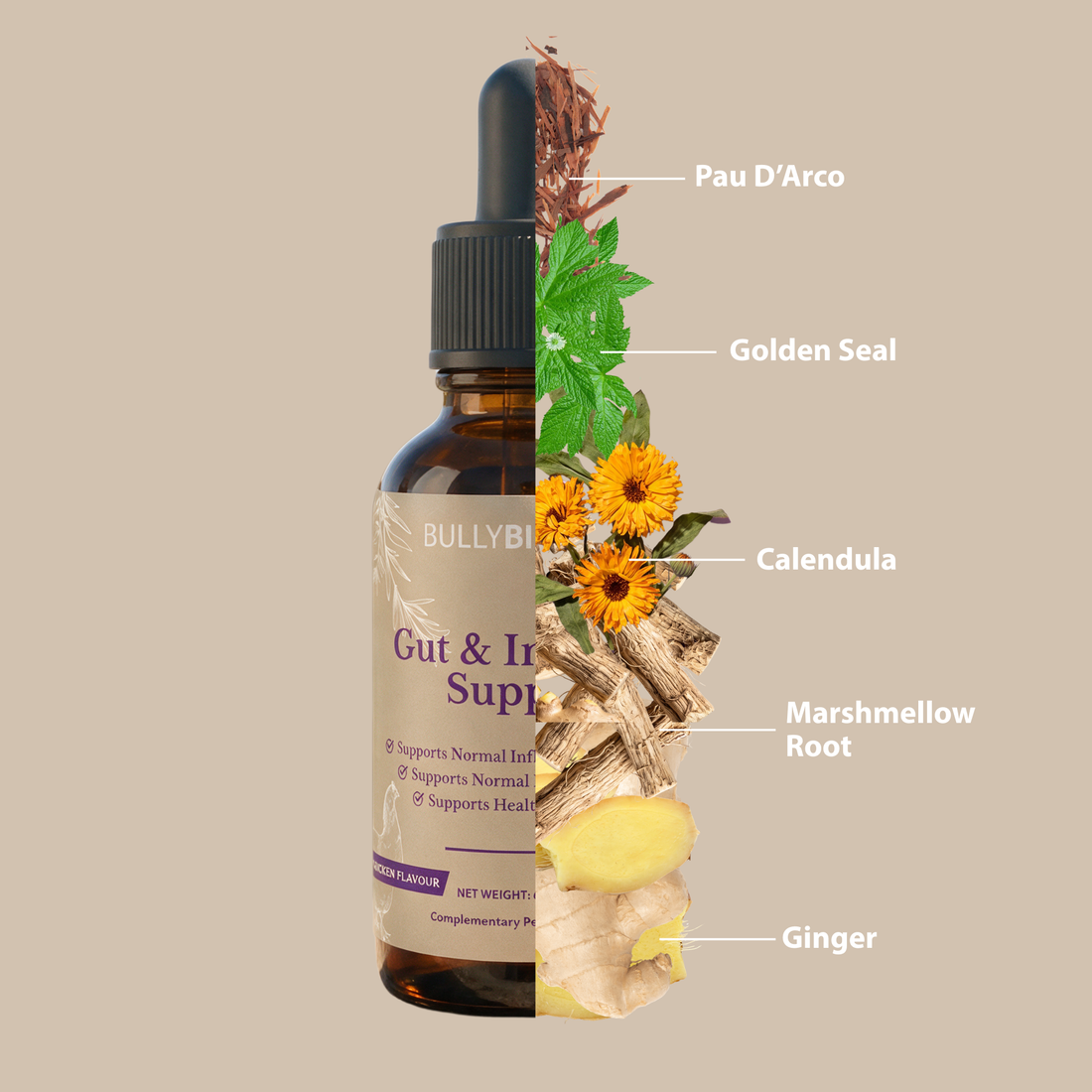featured image of Dog Gut & Immune Drops | Daily Digestive Supplement