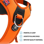 Hurricane Harness - Non Restrictive, With Handle, Adjustable & Reflective - All Breeds - Orange