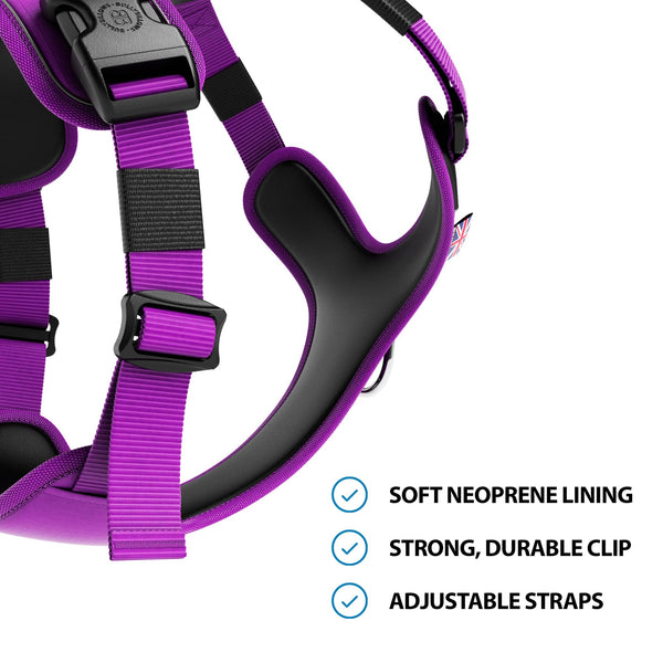 Anti Pull Hurricane Harness Lighter | With Handle - Purple