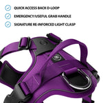 Hurricane Harness - Non Restrictive, With Handle, Adjustable & Reflective - All Breeds - Purple
