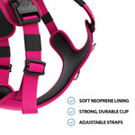 Hurricane Harness - Non Restrictive, With Handle, Adjustable & Reflective - All Breeds - Carminerose