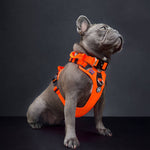 Hurricane Harness - Non Restrictive, With Handle, Adjustable & Reflective - All Breeds - Orange