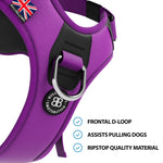 Products Hurricane Harness - Non Restrictive, With Handle, Adjustable & Reflective - All Breeds - Purple