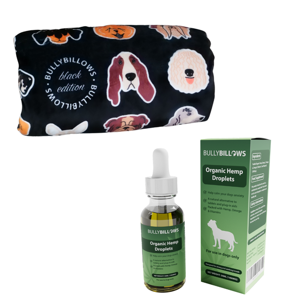 Wellness Comfort Bundle - Blanket & Hemp Supplement