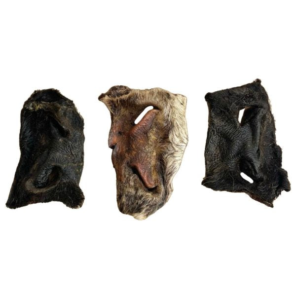 featured image of Hairy Beef Snouts - 2 Pieces