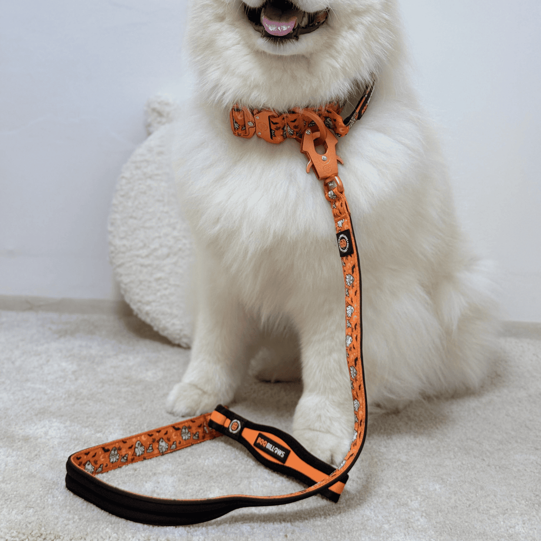 White furry dog wearing BooBillows orange lead and collar