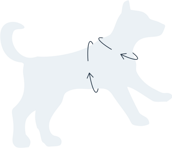 Size chart for 
Anti-Pull TRI-Harness® | Training Dog Harness for All Breeds - Khaki