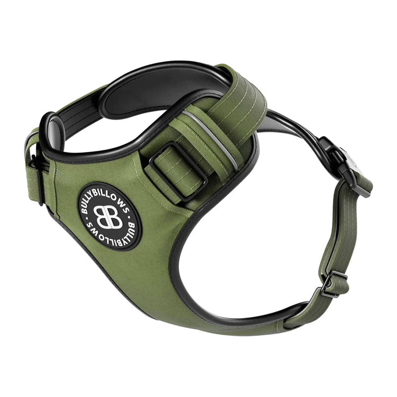 Harnesses