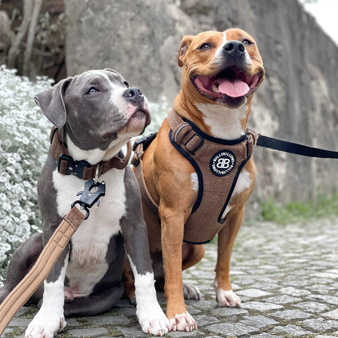 featured image of Premium Comfort Herringbone Harness | Non Restrictive - Soft Pink