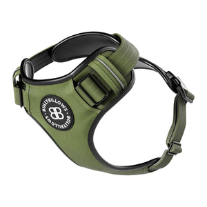 Harnesses