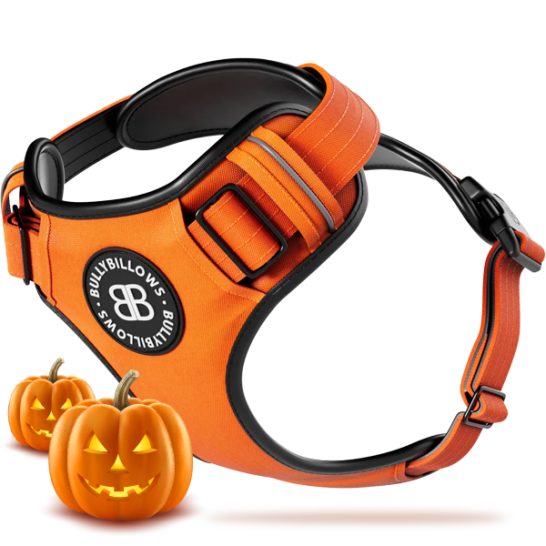 Harnesses