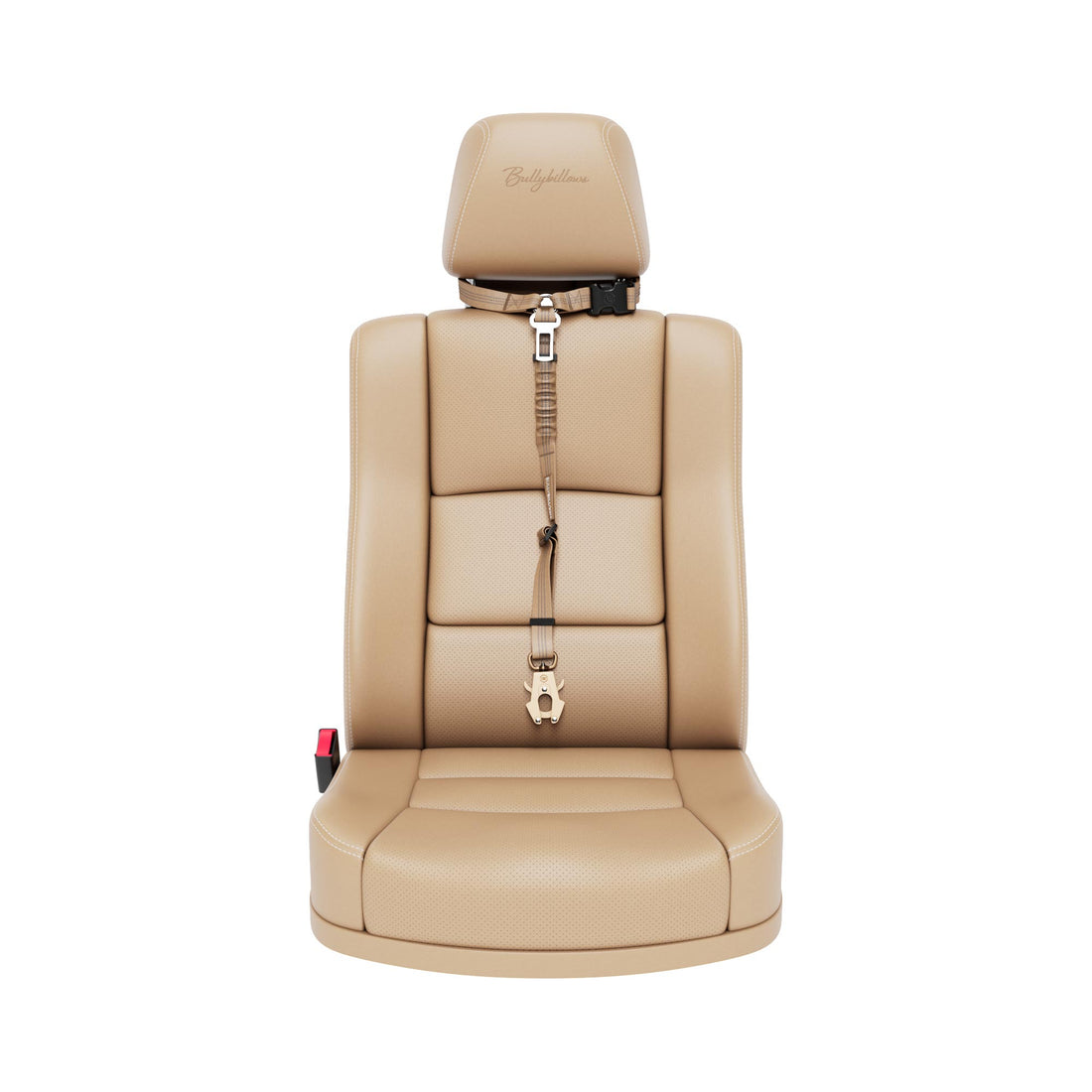 featured image of Headrest Car Seatbelt Safety