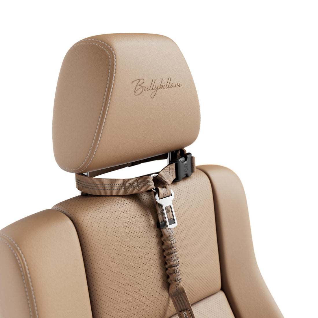 featured image of Headrest Car Seatbelt Safety