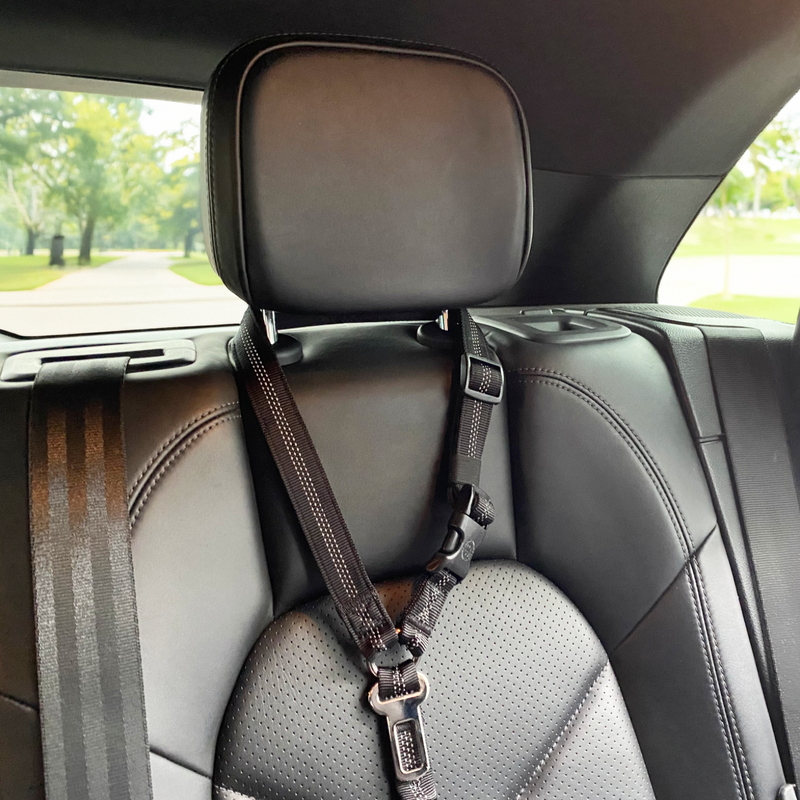 Seat belt holder headrest on sale