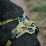 Hurricane Harness - Non Restrictive, With Handle, Adjustable & Reflective - All Breeds - Olive Green