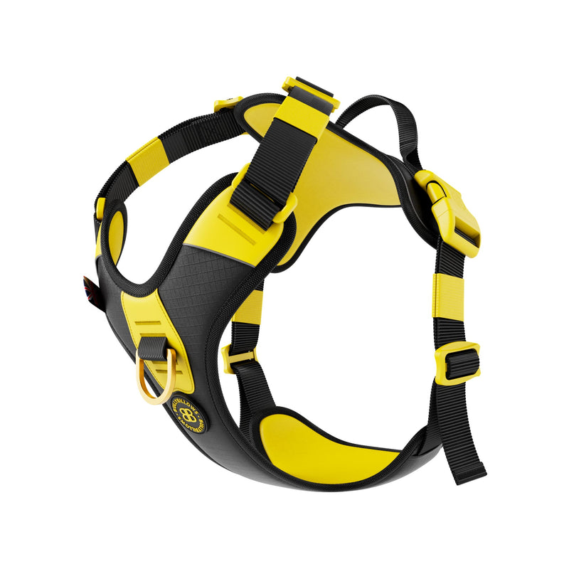 Anti Pull Hurricane Harness Lighter | With Handle - Black X Yellow