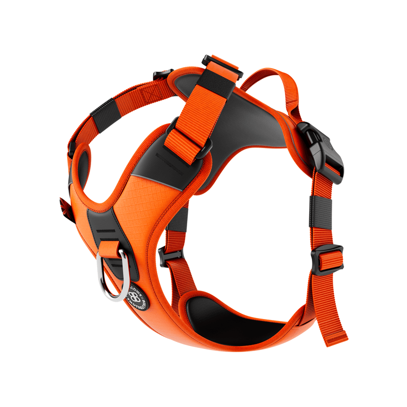 Anti Pull Hurricane Harness - With Handle - Orange
