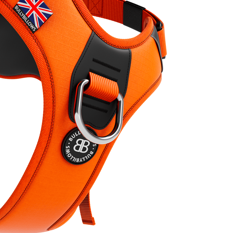 Anti Pull Hurricane Harness - With Handle - Orange