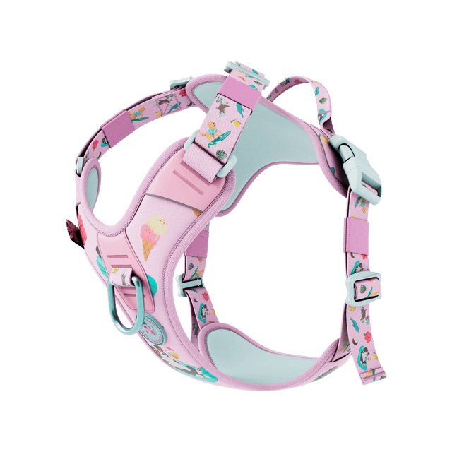 Anti Pull Hurricane Harness Lighter | With Handle
