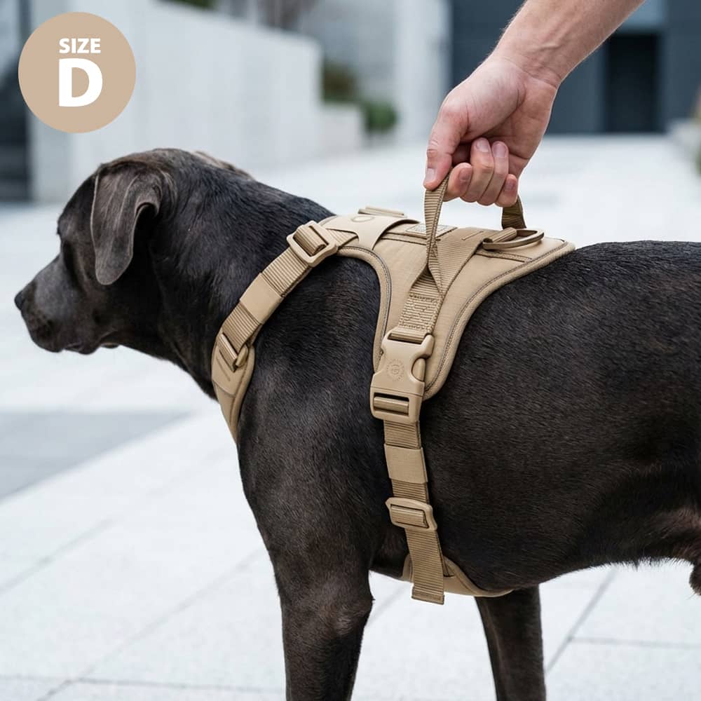 Anti Pull Hurricane Harness Lighter | With Handle - Carminerose