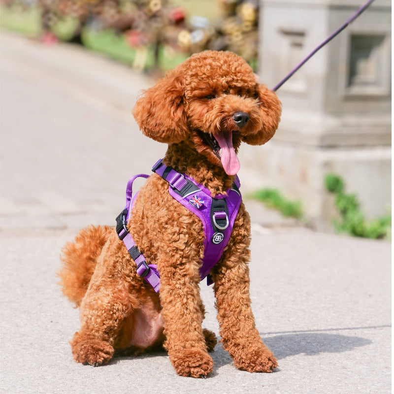 Anti Pull Hurricane Harness - With Handle - Purple