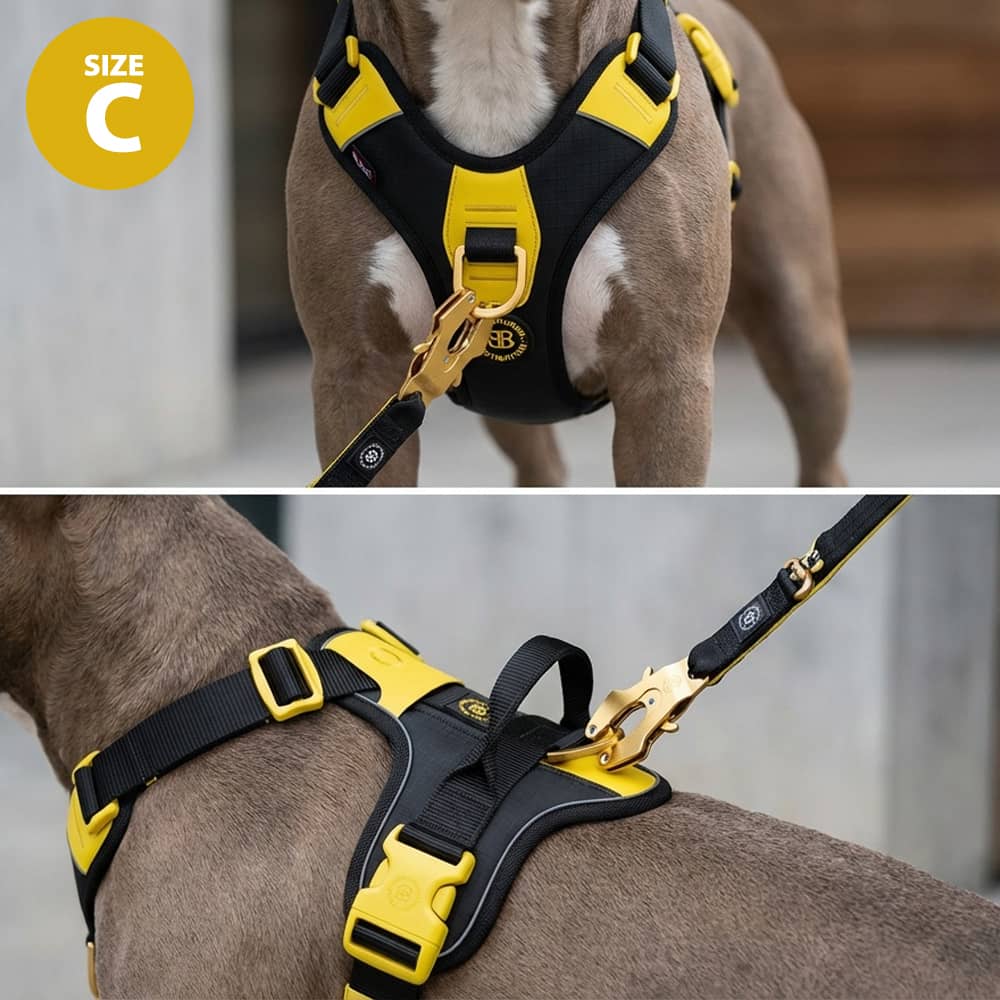 Anti Pull Hurricane Harness Lighter | With Handle - Carminerose