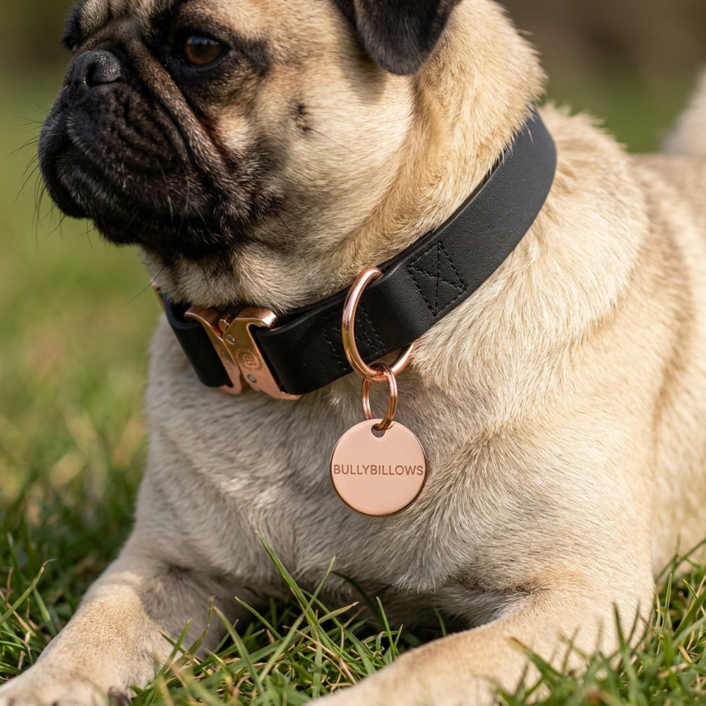 Pull Bull.さま　専用 Dog ID Tag - Silver (With Gift Box) – BullyBillows