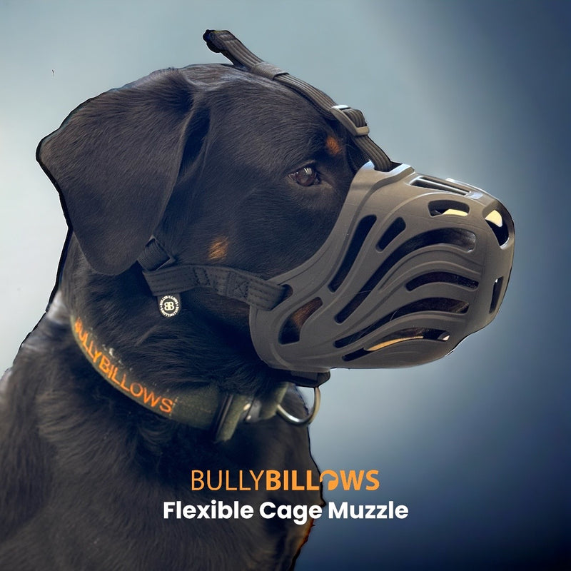 Muzzle | Flexi & Legal Requirement - S-XL Breeds - Black