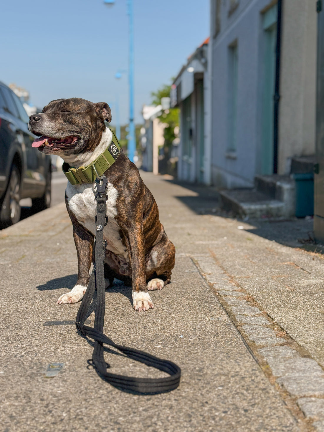 featured image of Lightweight Training Double Ended Dog Lead | 2m Length - Pink