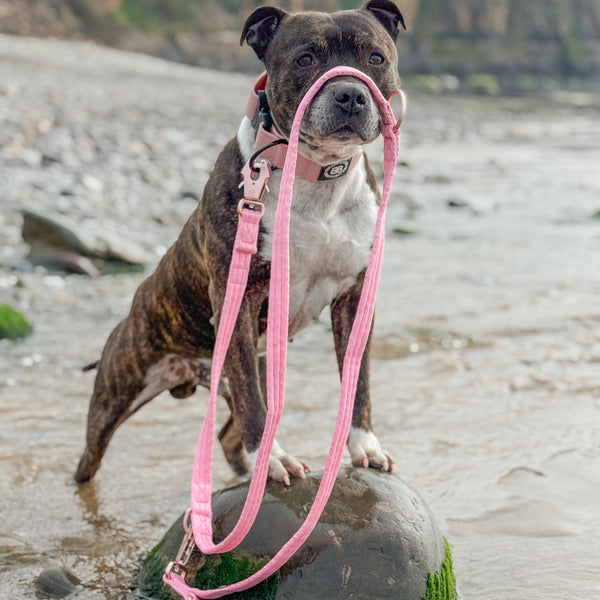 Lightweight Training Double Ended Dog Lead | 2m Length - Pink