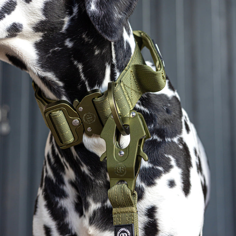 5cm Lighter Combat® Collar | With Handle Secure Clip - Khaki x Khaki
