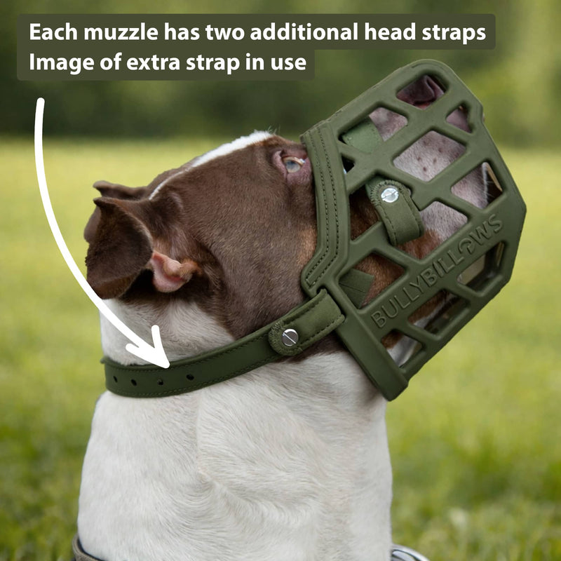 Premium Comfort Muzzle | x2 Additional Head Straps - Khaki