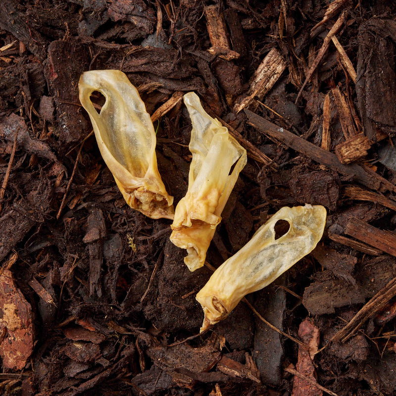 Lamb Ears With and Without Hair - 100g