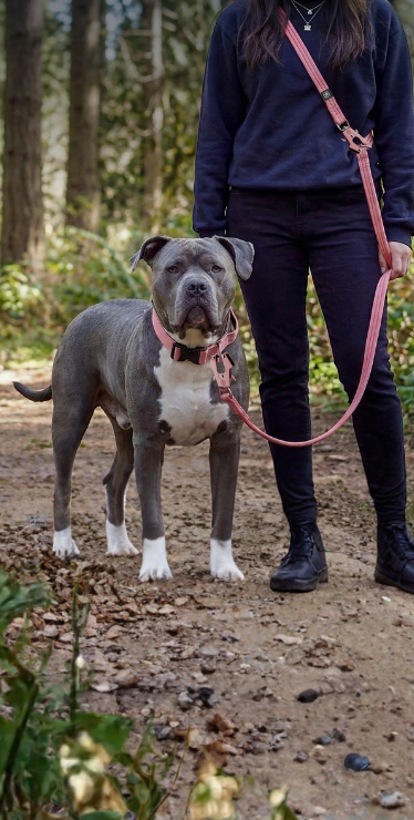 Lightweight Double Ended Lead