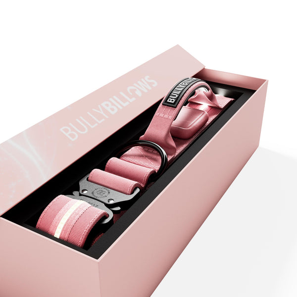 2.5cm Light Up LED Combat® Collar | Handle - Pink