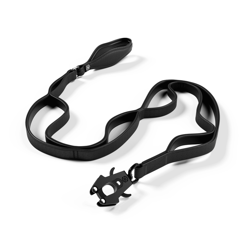 Ladder Combat® Multiple Handles Lead - Black