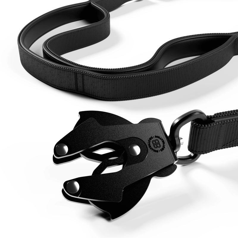 Ladder Combat® Multiple Handles Lead - Black