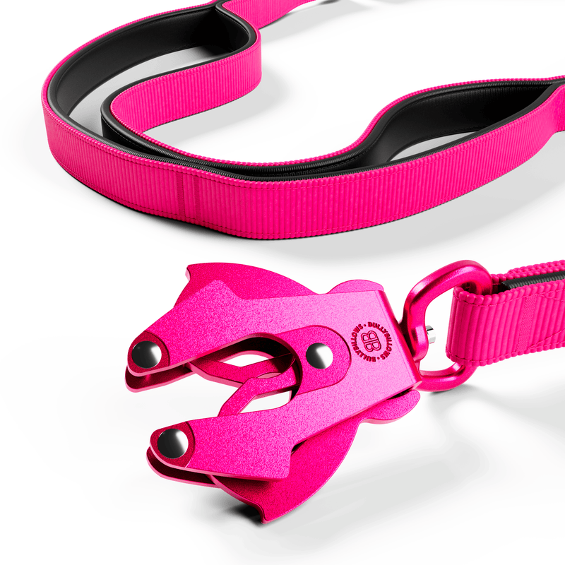Ladder Combat® Multiple Handles Lead - Carminerose