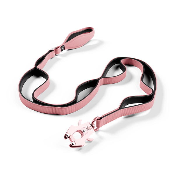 Ladder Combat® Multiple Handles Lead - Pink